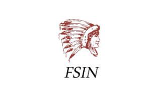 apc-conf-its-fsin