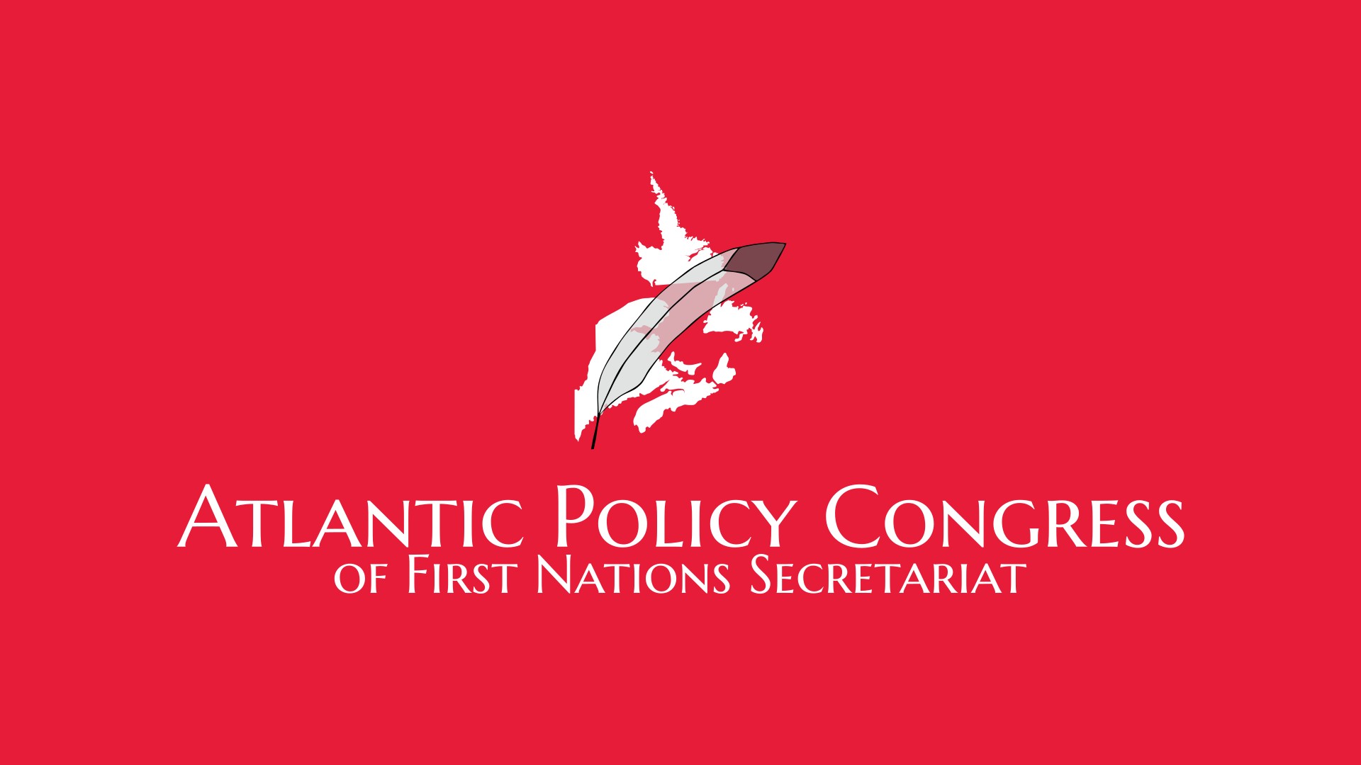 APCFNC - Background Image - Logo